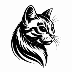 vector image of a cat
