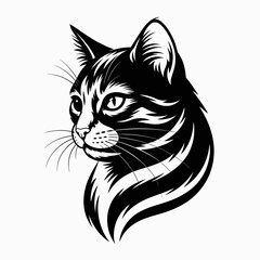 black and white cat