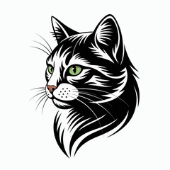 black and white cat