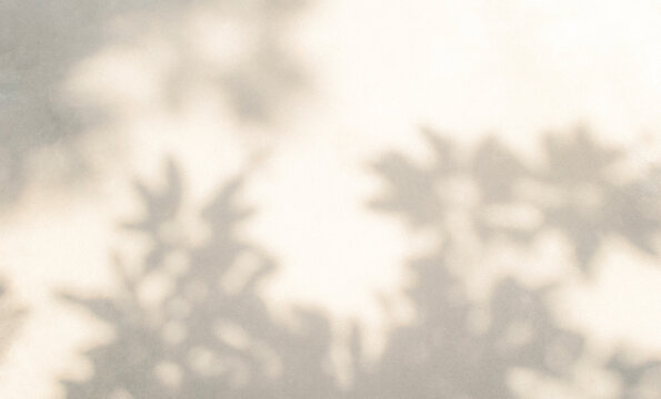 Abstract leaf shadow and light blurred background. Natural leaves tree branch shadows and sunlight dappled on white concrete wall texture for background wallpaper and design, shadow overlay effect