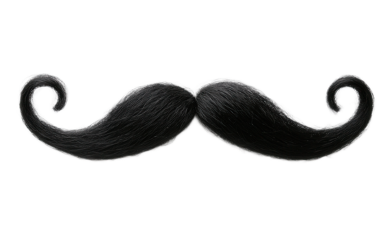 Black curly mustache beard on white background,png