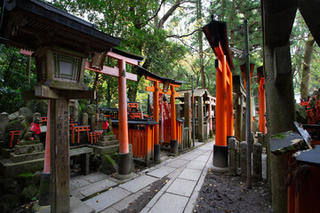 A serene path lined with vibrant red torii gates at Fushimi Inari Shrine, Kyoto. This sacred walkway invites pilgrims into a timeless journey of faith, culture, and the spirit of Japan.