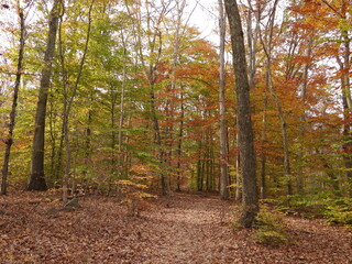 Visitors can enjoy the beautiful autumn scenery, while hiking the Hopewell Lake Loop Trail. French Creek State Park, Berks and Chester Counties, Elverson, Pennsylvania.