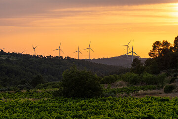 Sunset view of multiple wind turbines on Terra Alta hills in Catalonia, Spain, warm light enhancing renewable energy, Mediterranean landscape, and enduring symbol of sustainability.         