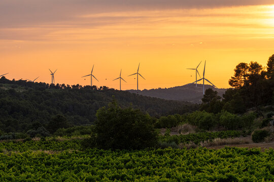Sunset view of multiple wind turbines on Terra Alta hills in Catalonia, Spain, warm light enhancing renewable energy, Mediterranean landscape, and enduring symbol of sustainability.         
