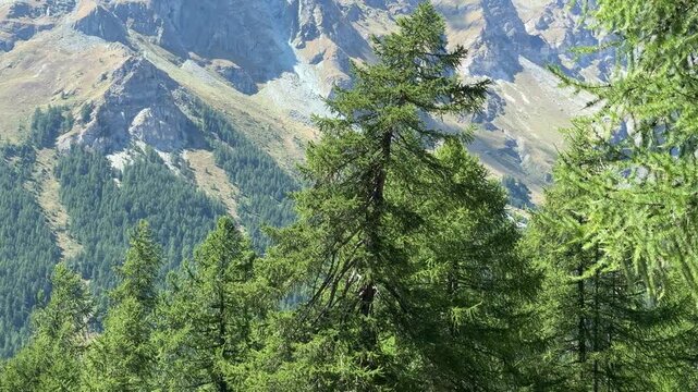 mountain landscape in the alps in ayas valley in italy