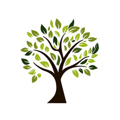 tree with green leaves vector