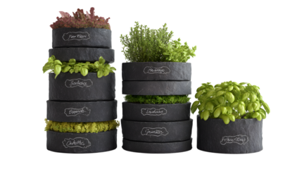 Elevate your kitchen with fresh, stacked herb planters showcasing vibrant basil and lettuce. isolated on white background