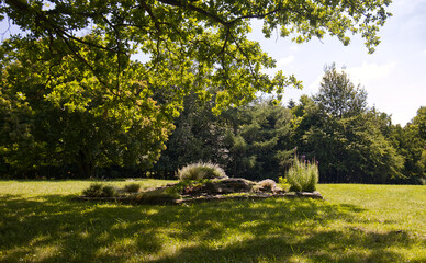 Background in the park on a sunny summer day. Sunny day in the park. Trees and grass illuminated by warm sunlight. Outdoor activities, summer season in nature.