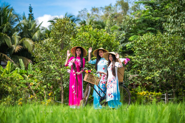 Fototapeta premium Three young cute Vietnamese women in colorful traditional Aodai clothings with bicycle enjoy walking in rice field