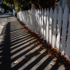 White picket fence shadows
