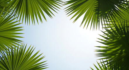 Fototapeta premium Tropical Palm Leaves Frame Bright Sky View