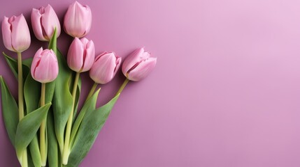 Fototapeta premium pink tulips, flower bouquet, soft floral arrangement, minimalist background, pink gradient backdrop, delicate petals, spring bloom, botanical still life 