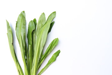 Culantro is an aromatic herb with a scent similar to coriander.In Thailand, it is commonly added to...