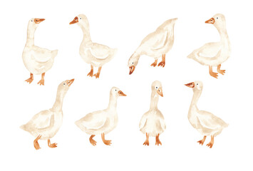 Fun geese clip art. Watercolor goose set. Hand painted design elements for card, banner, invitation