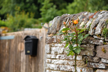 Authentic English countryside house and drywall, heritage travel