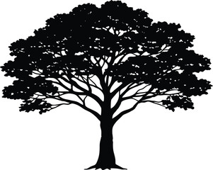 Fototapeta premium Kapok Tree Silhouette, Silk Cotton Tree Vector