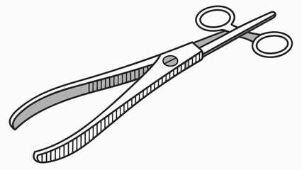 surgical forceps