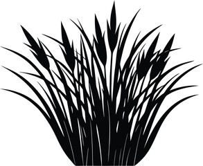 Sweetgrass Silhouette, Fragrant Grass Vector