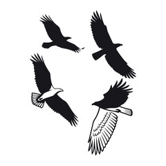 Silhouette Set of Different Bird Species Flying | Nature & Wildlife Vector EPS | Flock, Sky, Freedom Design Element