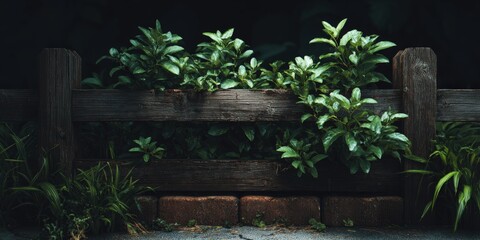 Lush greenery cascading over a weathered wooden fence