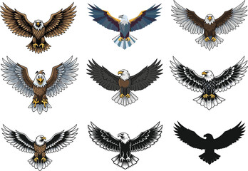 Bald eagle vector illustration set, flying eagle artwork, strong predator bird drawing, patriotic eagle symbol, wildlife design, majestic raptor clipart