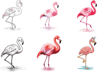 Pink flamingo vector set, tropical bird illustration, exotic flamingo artwork, hand drawn sketch, cartoon flamingo character, wildlife clipart, animal design collection