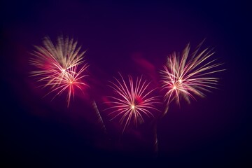 Pink and White Fireworks Display Night Sky Celebration