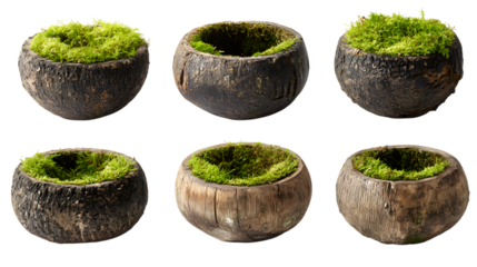 Rustic wooden pots filled with vibrant green moss, perfect for natural home decor and earthy botanical accents isolated on white background