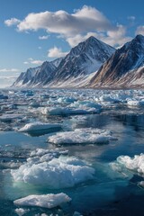 Arctic ice floes, mountains, clear sky