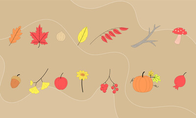 autumn elements collection. autumn background. fall. vector illustration