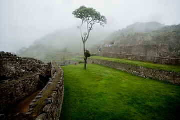 View of the ancient ruins in Machu Picchu and the agriculture terraces