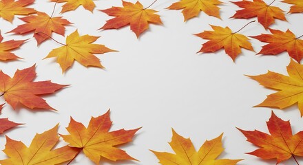 Fototapeta premium Vibrant autumn maple leaves softly illuminate a white background creating a cheerful fall border. AI Generated