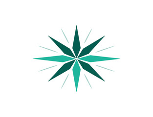 Teal starburst graphic design element
