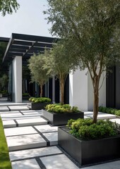 Fototapeta premium Modern patio with planters and trees