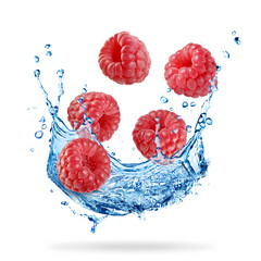 Fresh ripe raspberries and water splash in air on white background