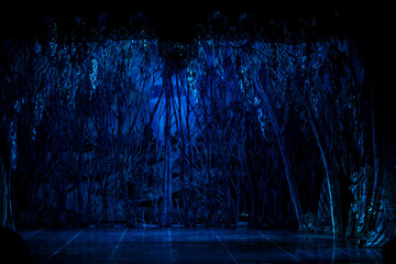 Empty academic theater stage with painted forest scenery for opera ballet performance.