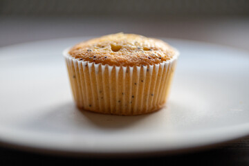 muffin on a plate