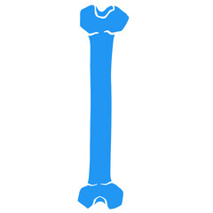 blue silhouette leg bone illustration