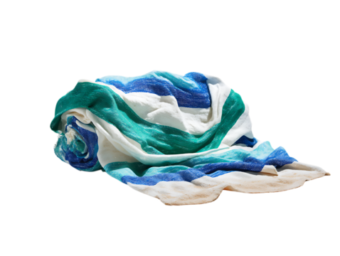 Beach blanket picnic summer vibes