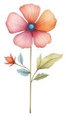 Fototapeta premium PNG Flower drawing petal plant.