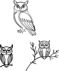 line art owl bird illustration set