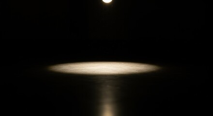 A single spotlight illuminates a circular area on a dark surface, creating a stark contrast between light and shadow.