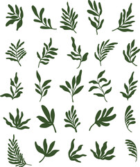 Hand Drawn Green Leaf Silhouettes Collection. Set of hand drawn botanical green leaf silhouettes. Perfect for nature design, eco projects, patterns, packaging, invitations, and digital art