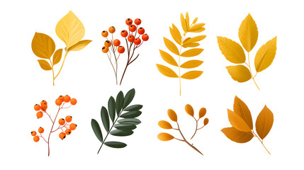 Obraz premium Watercolor set of autumn botanical elements—leaves and berries—isolated on white. Perfect clipart for seasonal branding, invitations, cards, packaging, and fall decor.