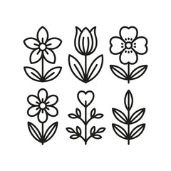 Six Outline Floral Illustrations on White Background