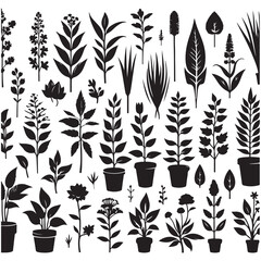 Flower Silhouettes  illustrations