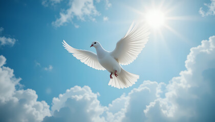 White dove flying in the blue sky symbol of peace and freedom
