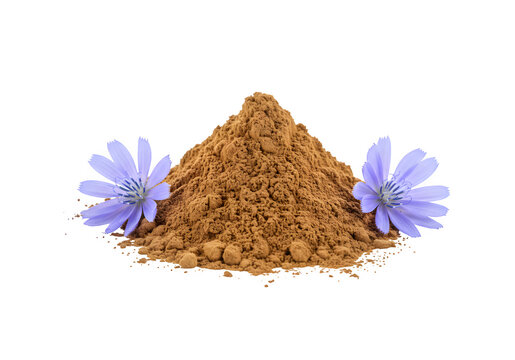Chicory Root Powder with Flowers isolated on white or transparent background. PNG