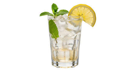 Refreshing tall glass of mojito cocktail with mint leaves and lemon slice